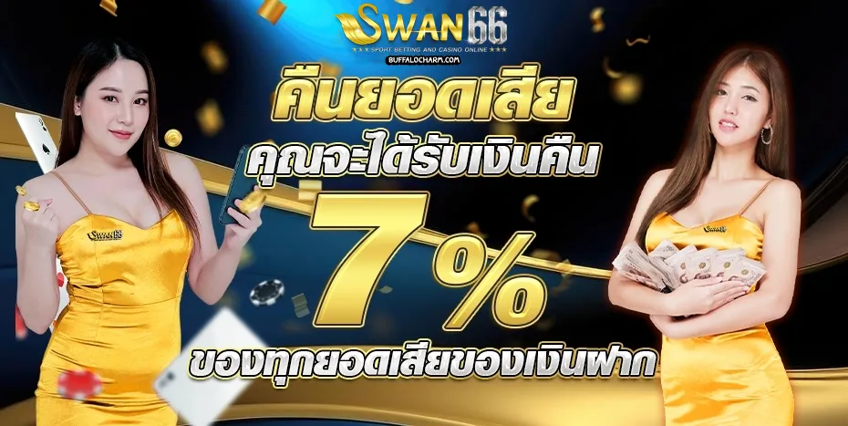 swan66